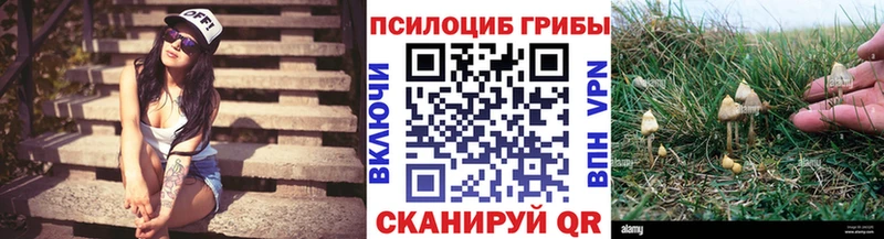 kraken онион  Лукоянов  Псилоцибиновые грибы Magic Shrooms 