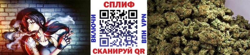 Бошки Шишки сатива  Лукоянов 